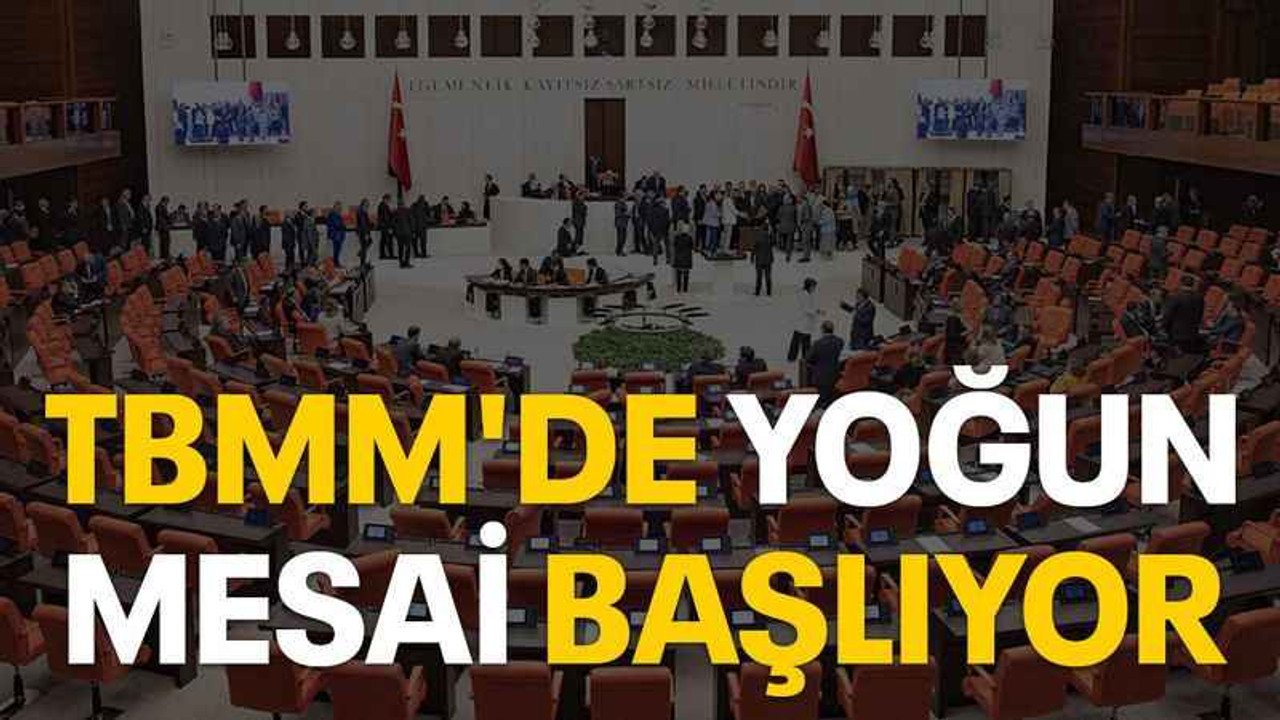 TBMM'de yoğun mesai başlıyor